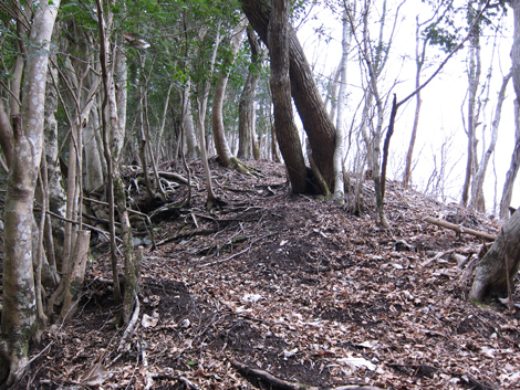 20190205hike (31)
